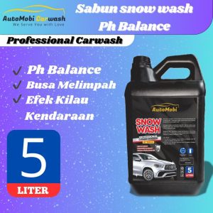AutoMobi SnowWash